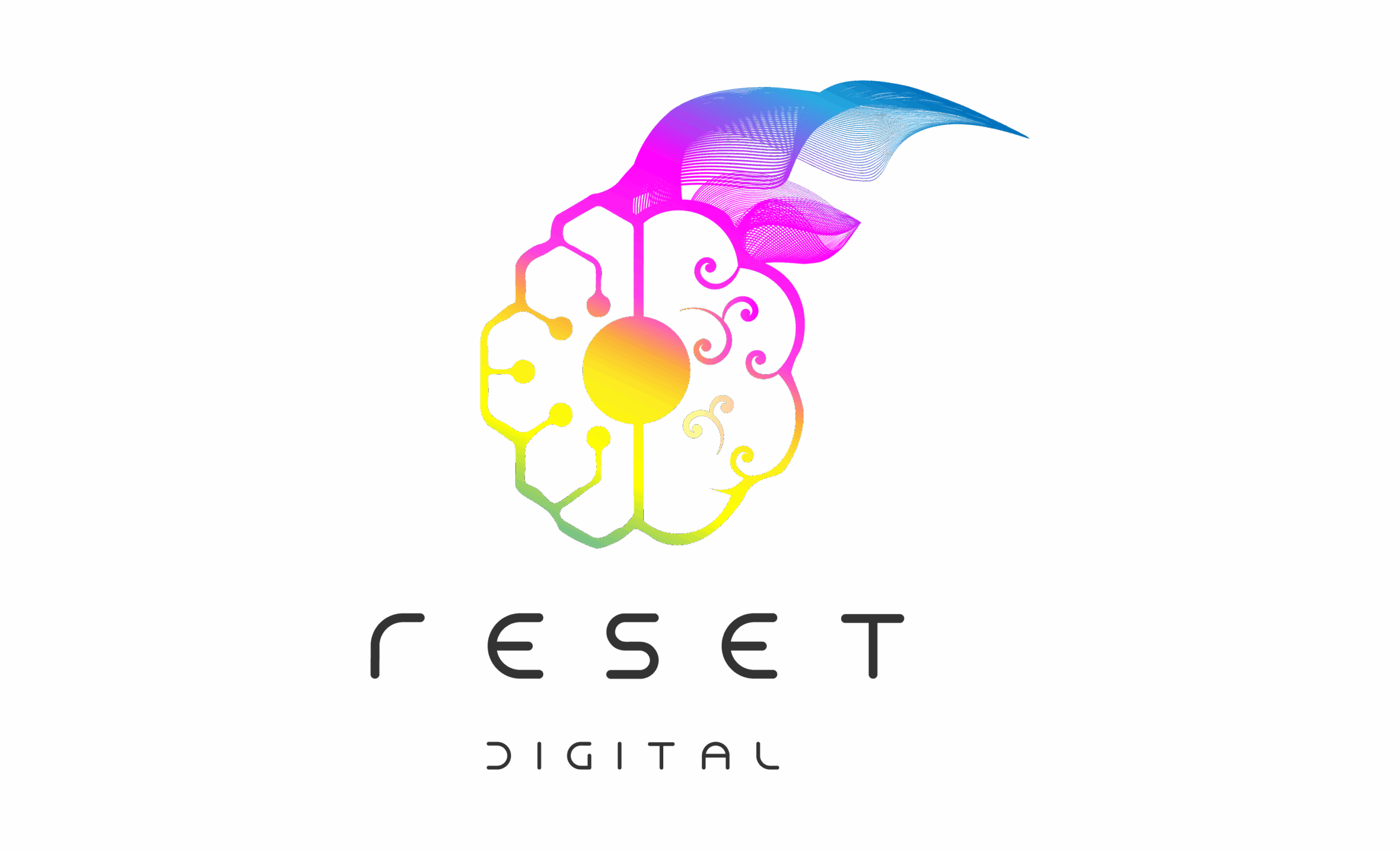 reset digital